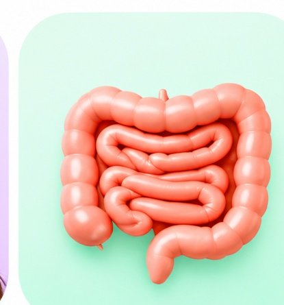 Pre and Probiotic